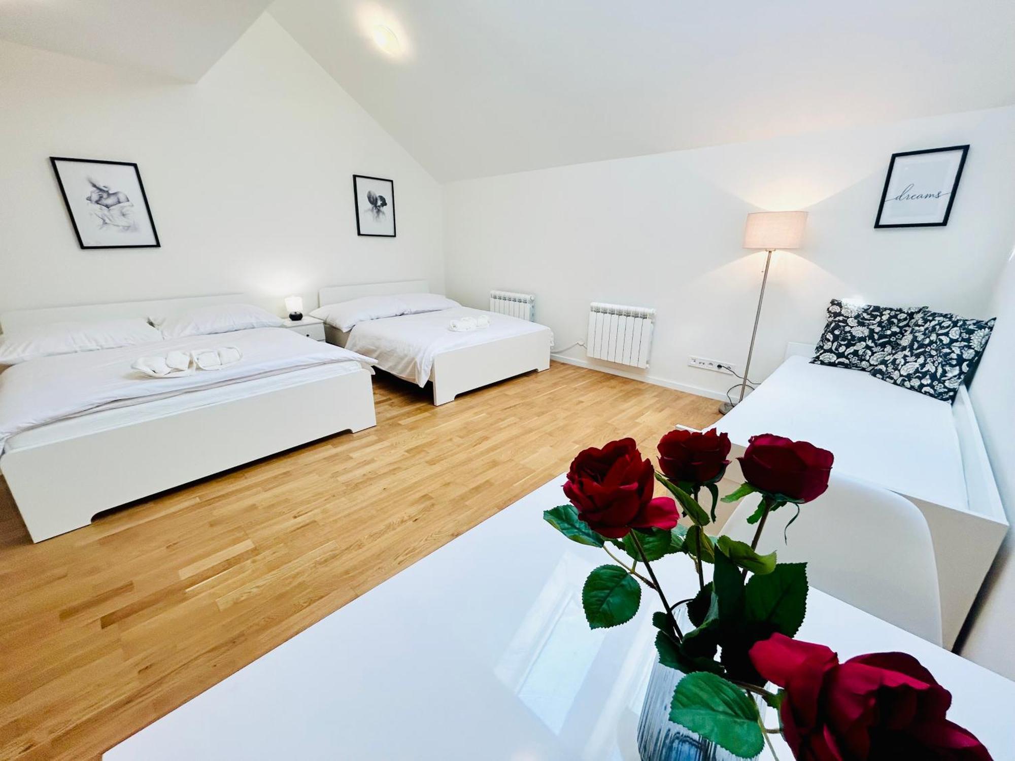 Cozy Design Apartments Right Next To Wenceslas Square Praga Exterior foto
